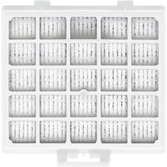 Hepa filter BOSCH BBZ153HF
