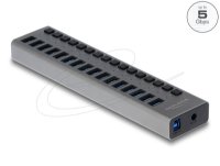 USB HUB DELOCK, 16-portni USB 3.2, s prekidačima, sivi