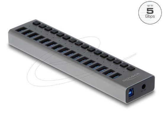 USB HUB DELOCK, 16-portni USB 3.2, s prekidačima, sivi