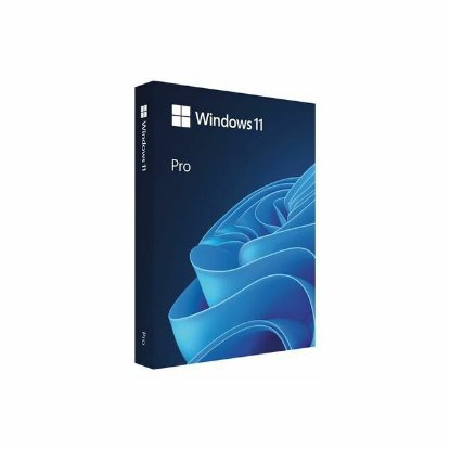 MICROSOFT Windows 11 Pro, 64-bit, Hrvatski, Retail, USB, HAV-00141