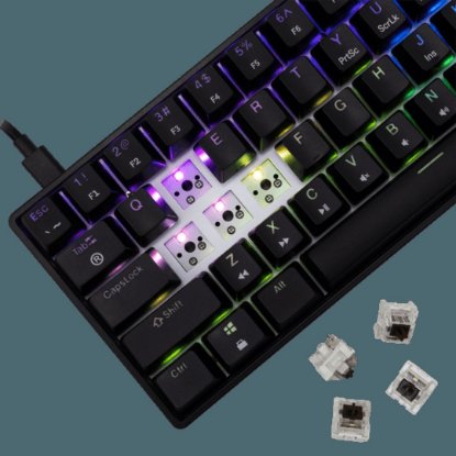 Tipkovnica WHITE SHARK GK-004131 SHINOBI-2, RGB, mehanička, smeđi switch, US, crna