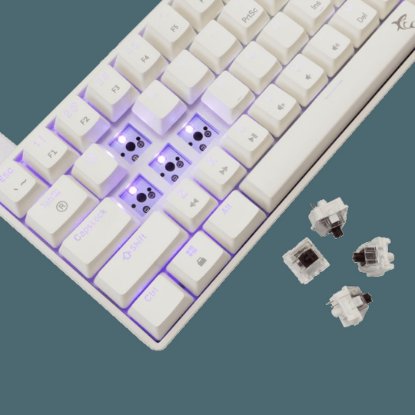 Tipkovnica WHITE SHARK GK-004231 Shinobi-2, RGB, mehanička, smeđi switch, US, bijela