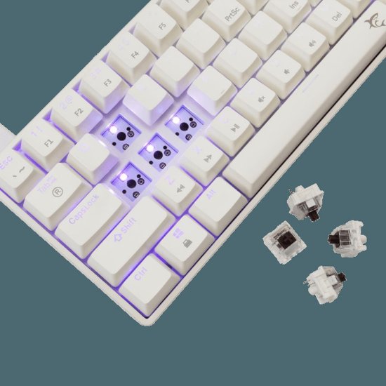 Tipkovnica WHITE SHARK GK-004231 Shinobi-2, RGB, mehanička, smeđi switch, US, bijela