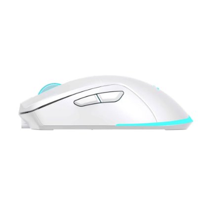 Miš BARACUDA BGM-122 Turtle, RGB, optički, 3200dpi, bijeli