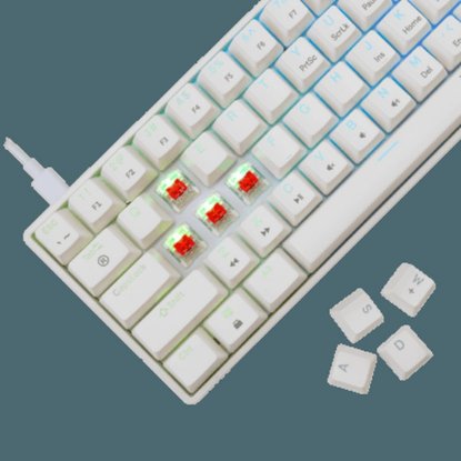Tipkovnica WHITE SHARK GK-004211 Shinobi-2, RGB, mehanička, crveni switch, US, bijela