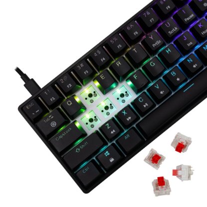 Tipkovnica WHITE SHARK GK-004112 Shinobi-2, RGB, mehanička, crveni switch, HR, crna