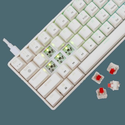 Tipkovnica WHITE SHARK GK-004211 Shinobi-2, RGB, mehanička, crveni switch, US, bijela