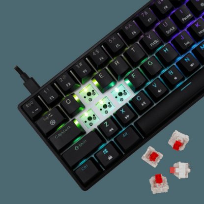 Tipkovnica WHITE SHARK GK-004111 Shinobi-2, RGB, mehanička, crveni switch, US, crna
