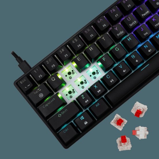 Tipkovnica WHITE SHARK GK-004111 Shinobi-2, RGB, mehanička, crveni switch, US, crna
