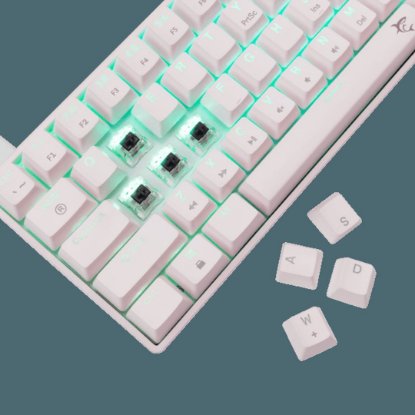 Tipkovnica WHITE SHARK GK-004231 Shinobi-2, RGB, mehanička, smeđi switch, US, bijela