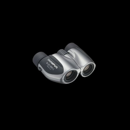 Dvogled OLYMPUS 17214, 8X21 DPC I, srebrna