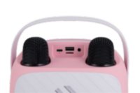 Zvučnik VIVAX BS-20 Duo Pink, BT, USB, AUX, karaoke, 20W, rozi