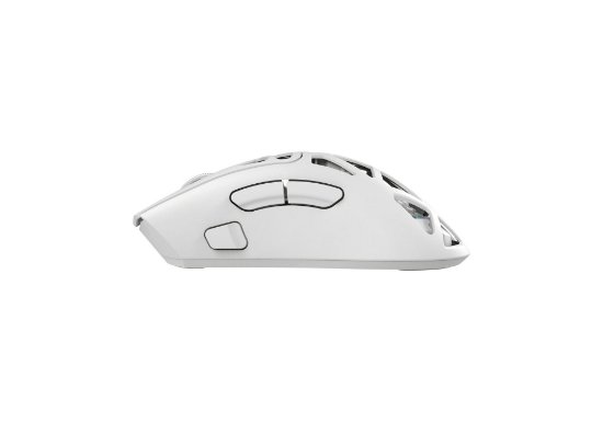 Miš WHITE SHARK Morien WGM-5025, 12000dpi, optički, bežični/žičani, bijeli
